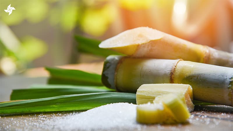 A importância dos uniformes profissionais no setor de cana-de-açúcar